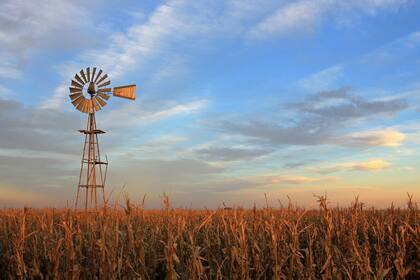 La empresa agropecuaria, con reglas específicas