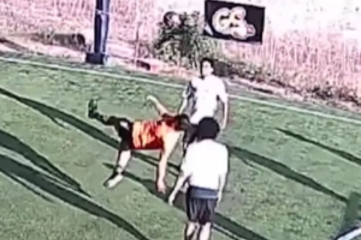 La empresa Beelup se dedica a grabar encuentros deportivos amateur y compartir los videos en su plataforma