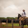 La empresa agropecuaria de la familia Brito emite deuda por hasta US$30 millones