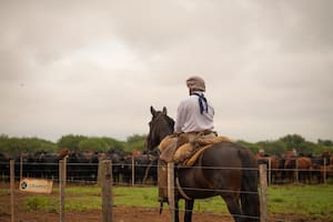 La empresa agropecuaria de la familia Brito emite deuda por hasta US$30 millones