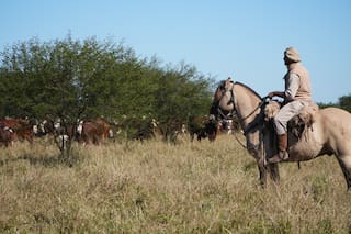 Una empresa agropecuaria de la familia Brito pagó US$22,8 millones por un campo y anticipó una posible incorporación de nuevos accionistas