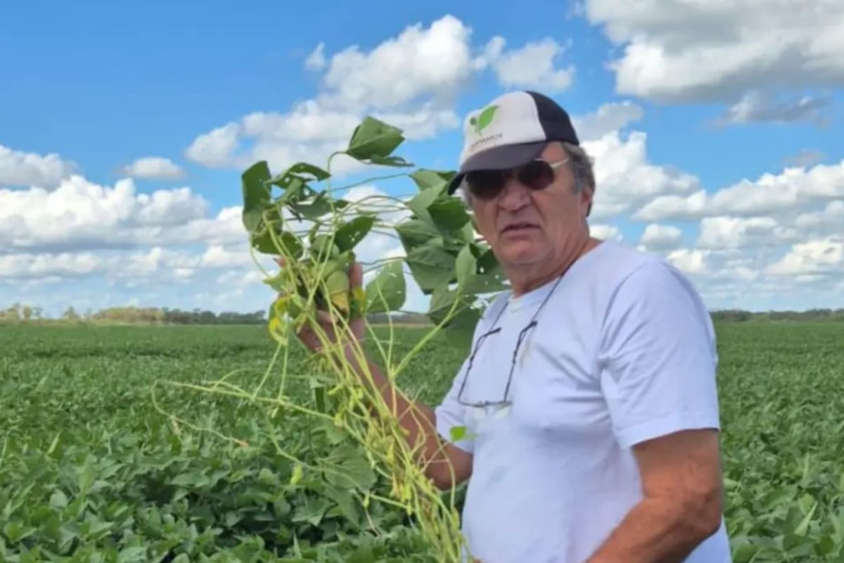 La empresa de Héctor Capitanich acumula 167 cheques rechazados por falta de fondos por $4074 millones