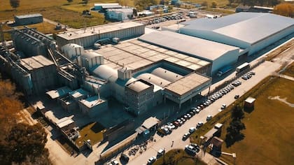 La empresa emplea a 300 personas de manera directa y produce alimento para más de dos millones de perros y gatos