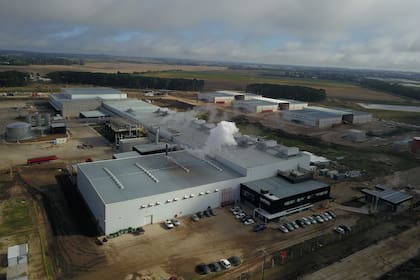La empresa estadounidense Lamb Weston invirtió más de US$300 millones en su planta de Mar del Plata, que ya comenzó a fabricar papas congeladas, pero que será inaugurada oficialmente en octubre