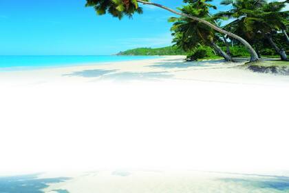 La empresa holandesa, que contratará tripulación argentina, está radicada en la isla Bonaire