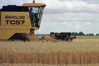 Trigo: con foco en los consensos de políticas para impulsar la producción