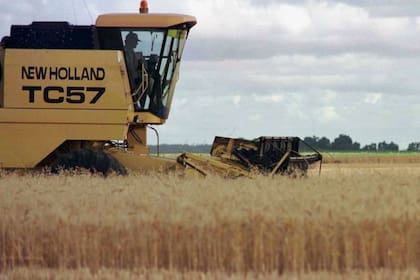 El precio del trigo en el mundo sintió el impacto de la invasión de Rusia a Ucrania