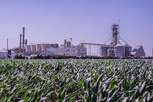 Una empresa ampliará una planta de bioetanol y se entusiasma por una futura ley