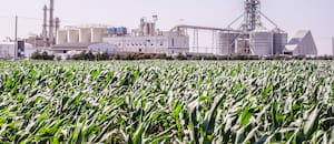 Un gran jugador del negocio del bioetanol ampliará una planta