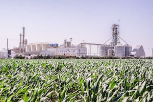 Una empresa ampliará una planta de bioetanol y se entusiasma por una futura ley