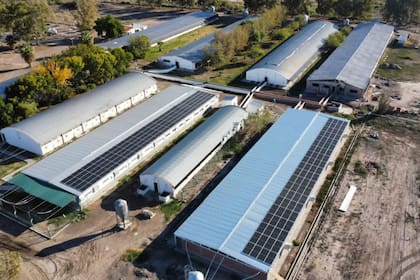 La empresa no renovó 80 contratos y frenó su proyecto de expansión