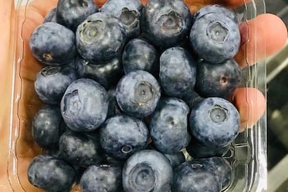 La empresa produce anualmente 2 millones de kilos de arándanos