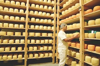 Cayeron en crisis, encontraron una salida y hacen quesos muy reconocidos por los chefs