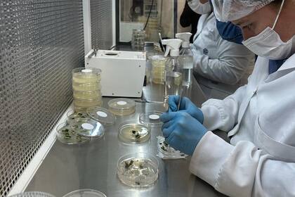 La empresa realiza una fuerte apuesta a la investigación con laboratorios en Brasil, el mayor productor de soja del mundo