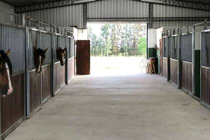 La empresa tambien fabrica boxes para caballos, entre otras instalaciones para el campo