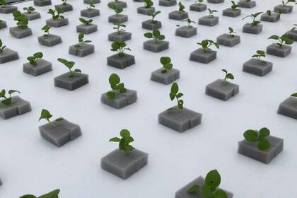 La empresa tiene su sede en Montecristo, Córdoba