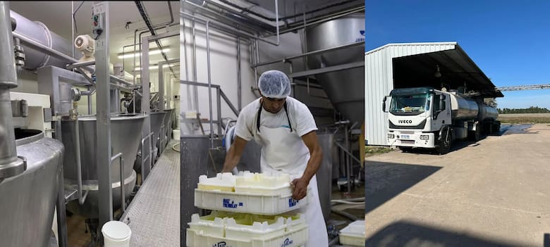 De ordeñar vacas a fabricar 10.000 kilos diarios de dulce de leche