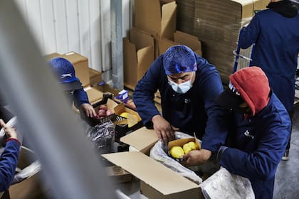 La empresa vende unos 10 millones de kilos de frutas y verduras al año.