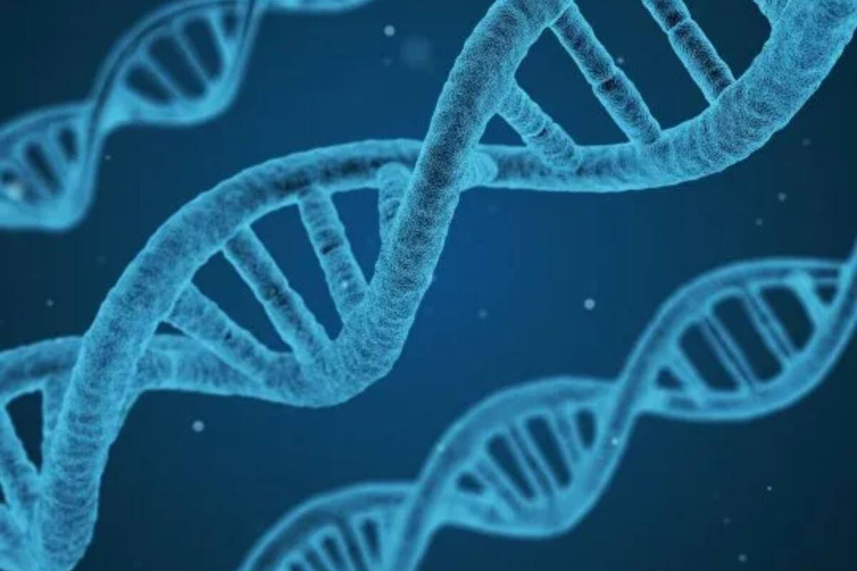 La encefalopatía por SYNGAP1 es una condición neurológica poco frecuente que afecta el desarrollo y la calidad de vida desde los primeros años