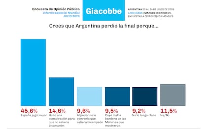 La encuesta de Giacobbe Consultores sobre por qué cree la gente que la Argentina perdió la final ante España