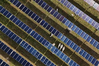 La energía solar alcanza nuevos hitos en EE.UU. mientras Trump prioriza el carbón a las renovables