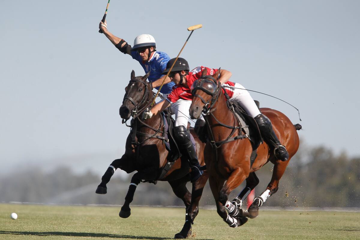 La Ensenada-RS Murus Sanctus y La Irenita III jugaron un partido intenso por el Campeonato Argentino Abierto: muchos goles, muchos penales y algunas caídas, como una que sufrió Alfredo Bigatti (izquierda).