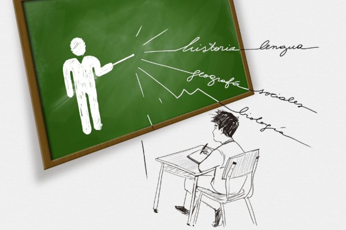 La enseñanza virtual produjo fuertes cambios en la relación entre los alumnos y los profesores