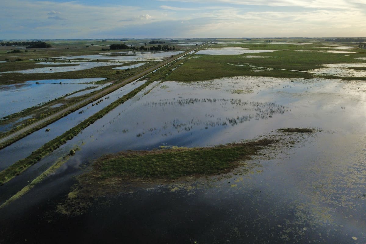 La entidad anunció una línea de asistencia financiera y la prórroga de vencimientos de operaciones comerciales para los afectados