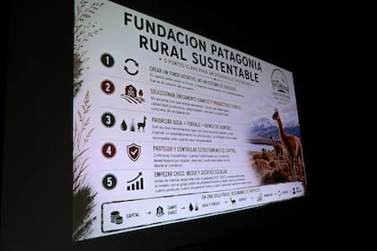 La entidad busca ser un puente para generar posibilidades en región
