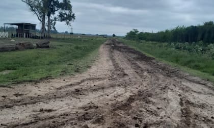 La entidad puso además bajo la lupa los recursos provenientes de la Descentralización Tributaria Rural