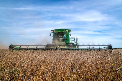 La entidad reconoció que el mercado mostró una mejora respecto del año pasado, pero dejó en claro que se trata de una “recuperación parcial”