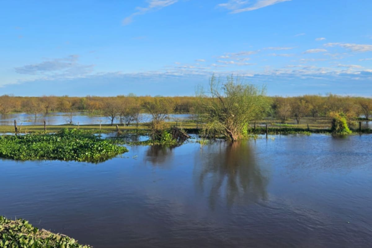 La entidad ruralista sostuvo que la prioridad debe ser ejecutar obras antes de que ocurran las inundaciones y no esperar la declaración de la emergencia agropecuaria