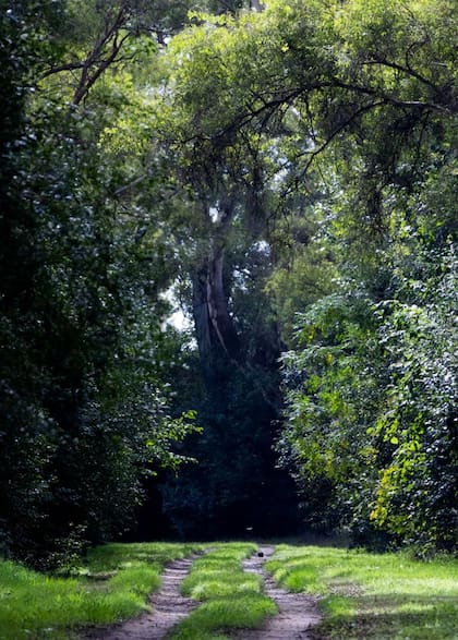 La entrada al casco de la estancia