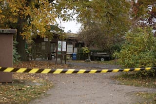 Una niña de 8 años es atacada por un lobo en un zoológico alemán