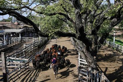 La entrada fue menor a las necesidades de los compradores