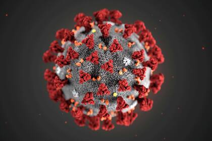 La epidemia ya provocó 361 muertes y 2829 casos nuevos en las últimas 24 horas