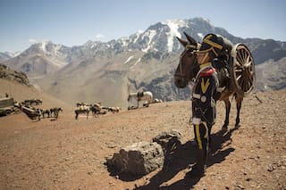 Recuerdos de la cordillera en un homenaje a la gesta sanmartiniana
