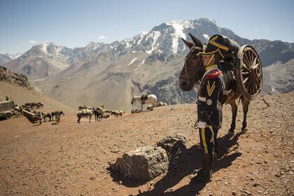 La epopeya del cruce de los Andes