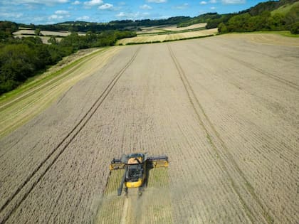 La erosión del suelo es una de las conseciencias de la agricultura no regulada