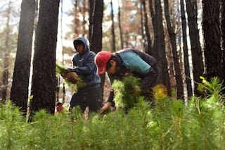 Una red de vecinos de Epuyén busca transformar la tragedia en prevención