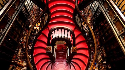La escalera curva y exuberante es uno de los elementos más destacados