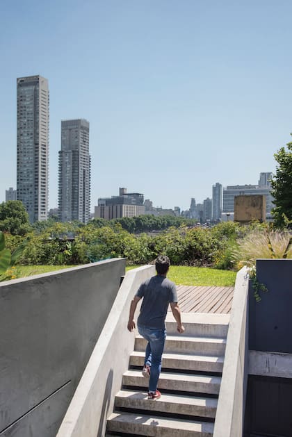 La escalera de acceso a la terraza con cubierta verde conecta con la planta baja.