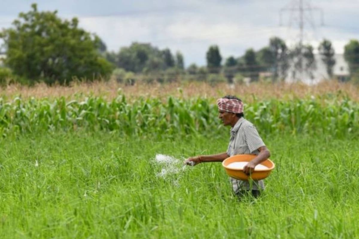 La escasez de urea se está notando en varias partes del mundo. Los primeros que lo están resintiendo son los agricultores y los camioneros