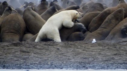 La escena pone de relieve los desafíos que plantea el cambio climático para la vida en la Tierra.