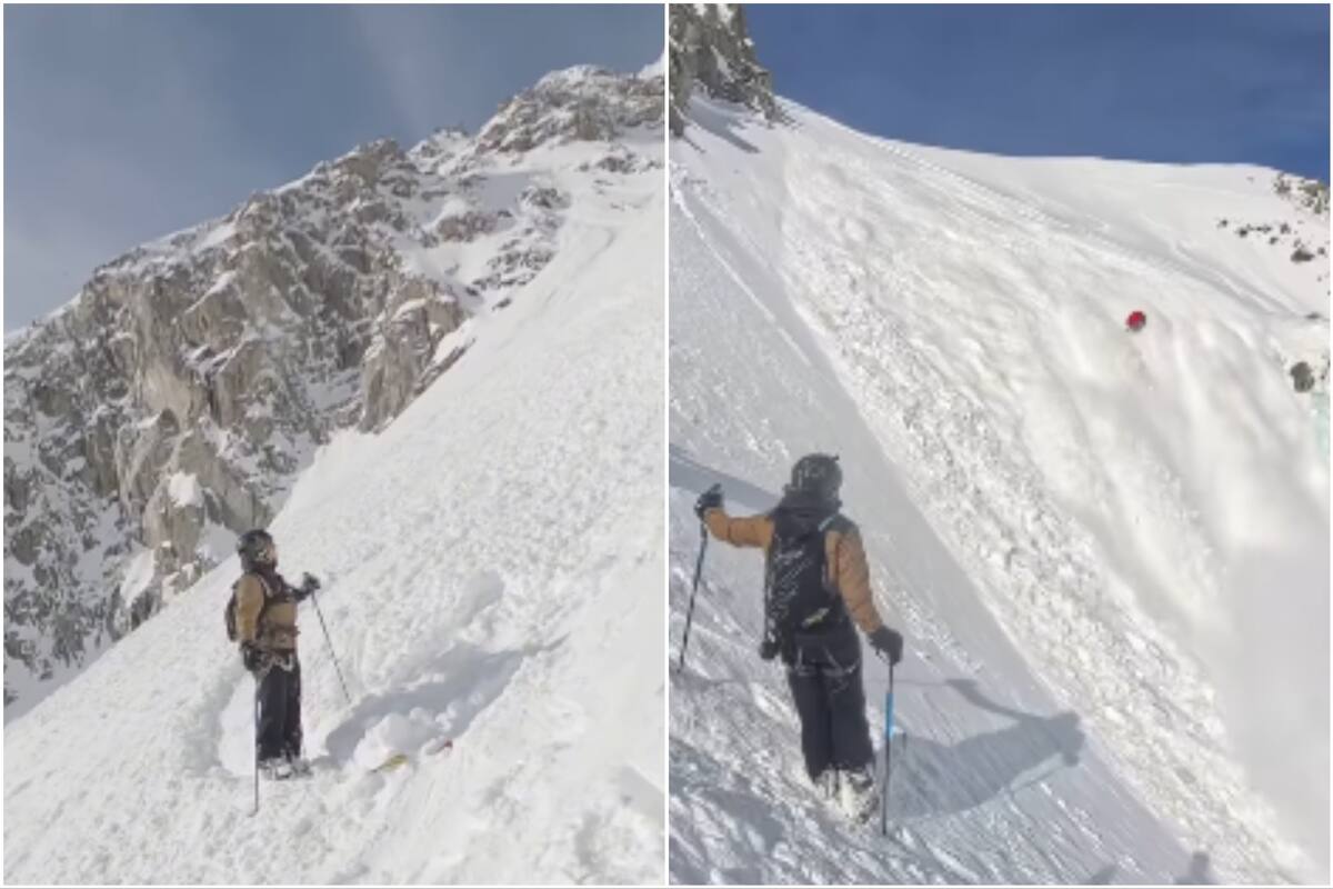 La escena quedó registrada en video (Foto: Captura de video)