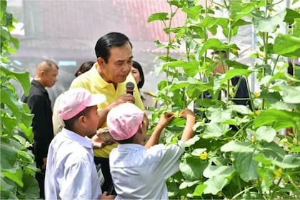 La escuela Bamboo ha llamado la atención de Naciones Unidas y recibió la visita del ex primer ministro de Tailandia Prayut Chan-o-cha.