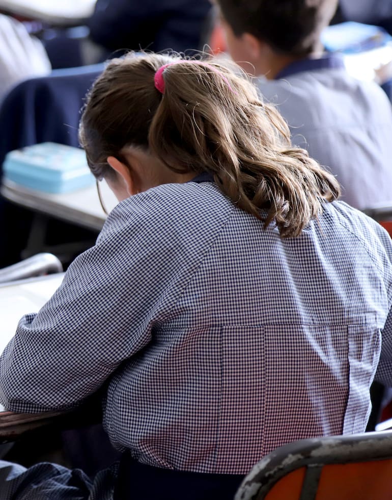 La ESI es obligatoria en todos los niveles educativos