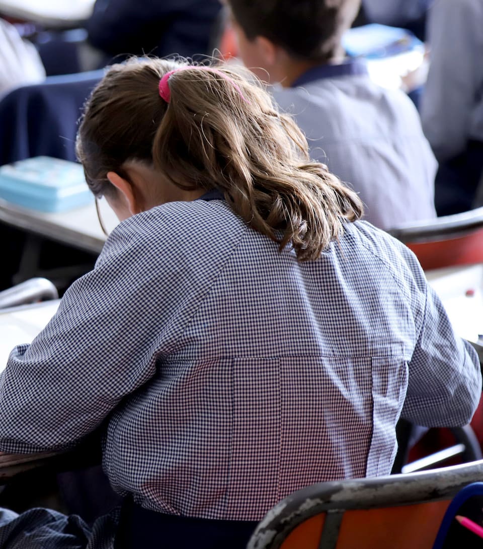 La ESI es obligatoria en todos los niveles educativos