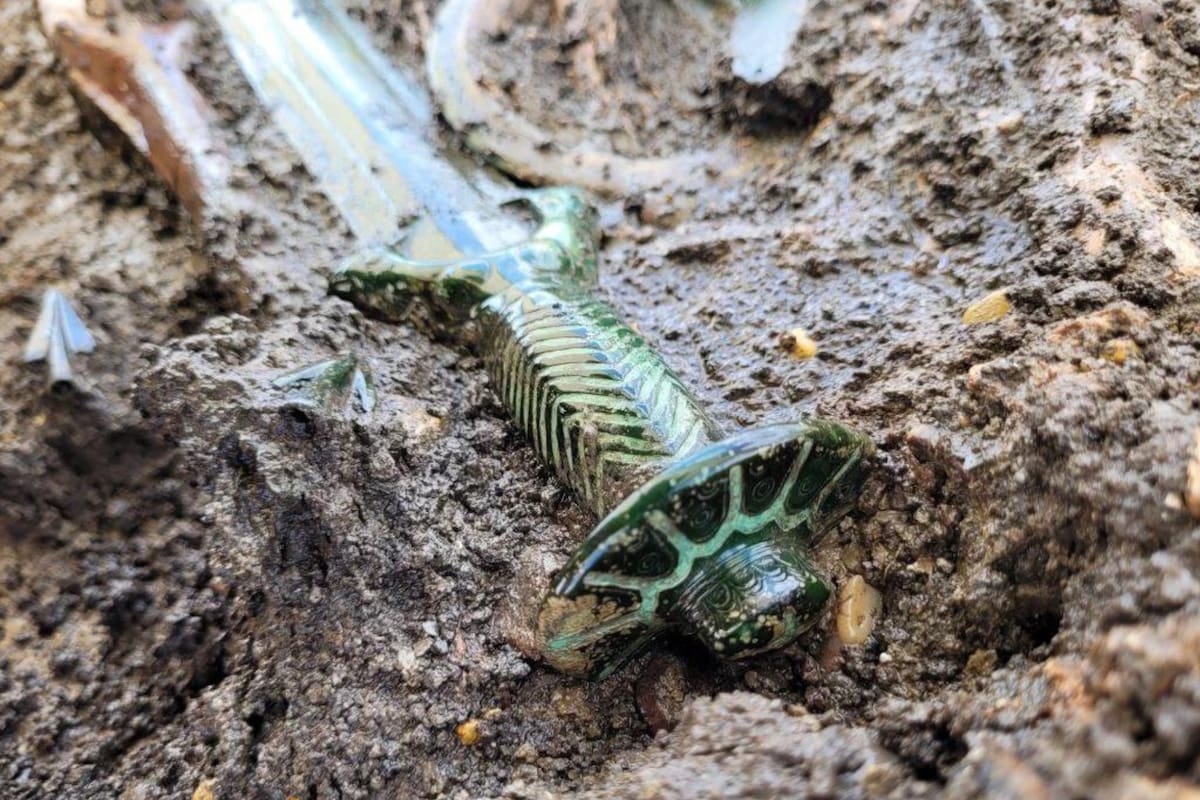 La espada de bronce vikinga que ayudó a comprender cómo era la vida de ese pueblo guerrero en el sur de Alemania