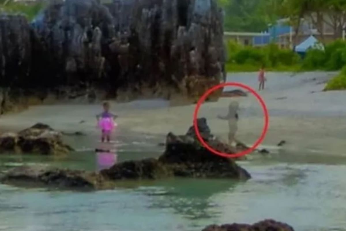 La espeluznante foto que puso en alerta a todos